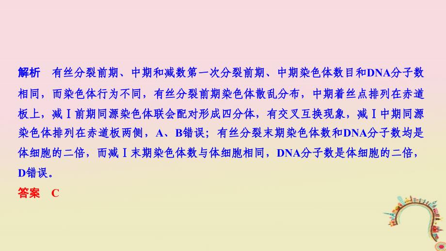 生物第五单元 细胞的生命历程 加强课2 减数分裂与有丝分裂的比较及减数分裂与可遗传变异的关系创新备考 中图版_第4页