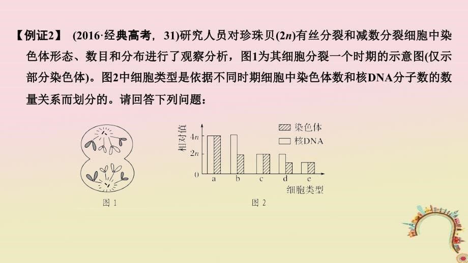 生物第五单元 细胞的生命历程 加强课2 减数分裂与有丝分裂的比较及减数分裂与可遗传变异的关系创新备考 中图版_第5页