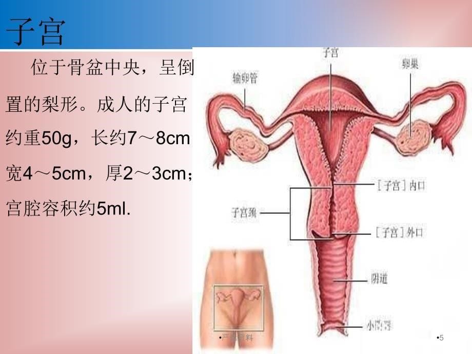 子宫肌瘤护理查房（行业荟萃）_第5页