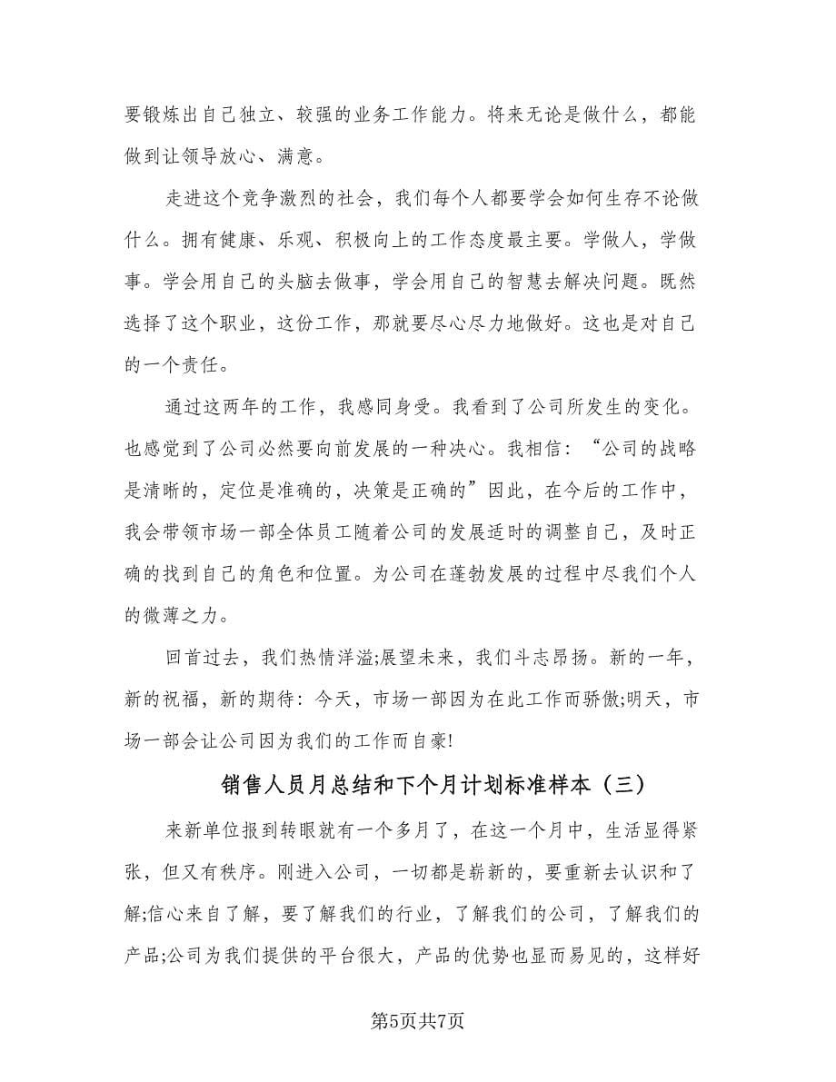 销售人员月总结和下个月计划标准样本（3篇）.doc_第5页