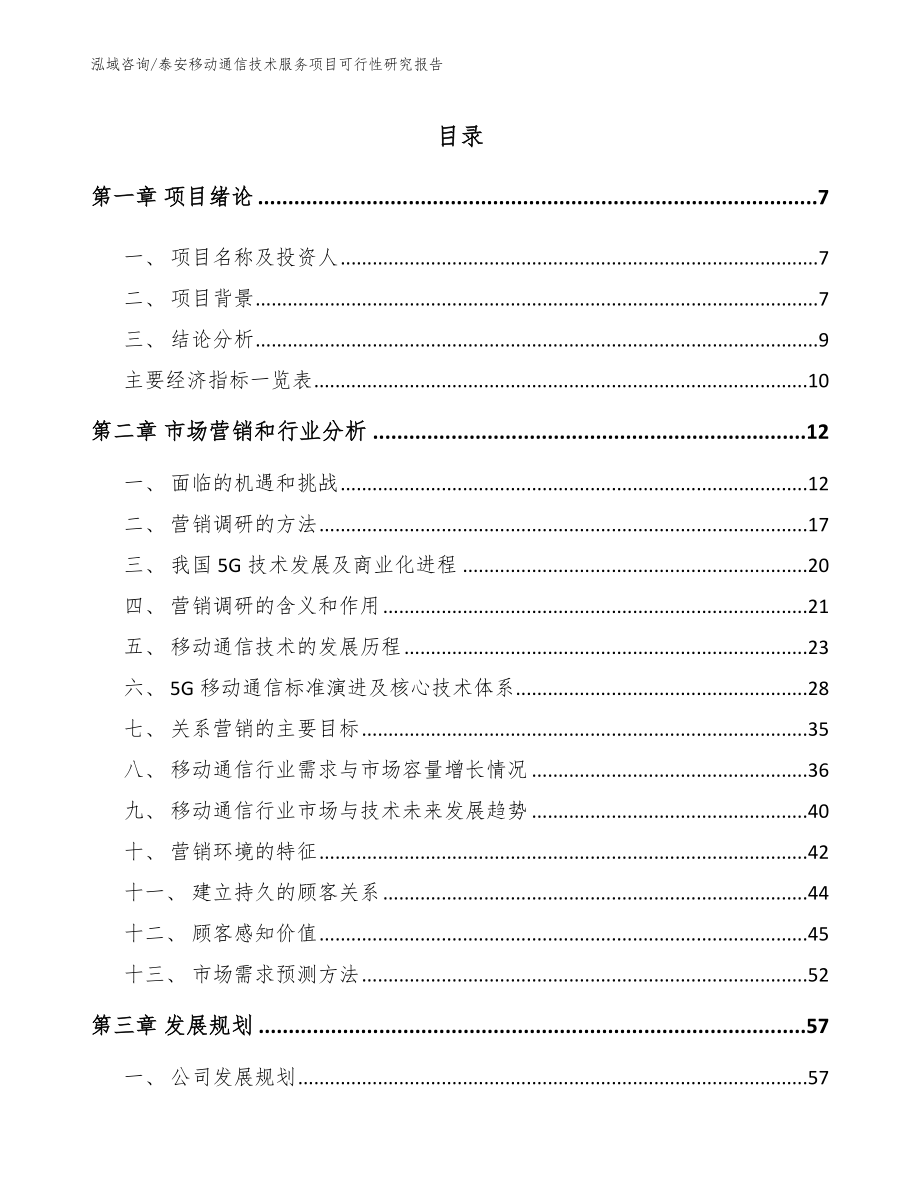 泰安移动通信技术服务项目可行性研究报告（参考模板）_第2页