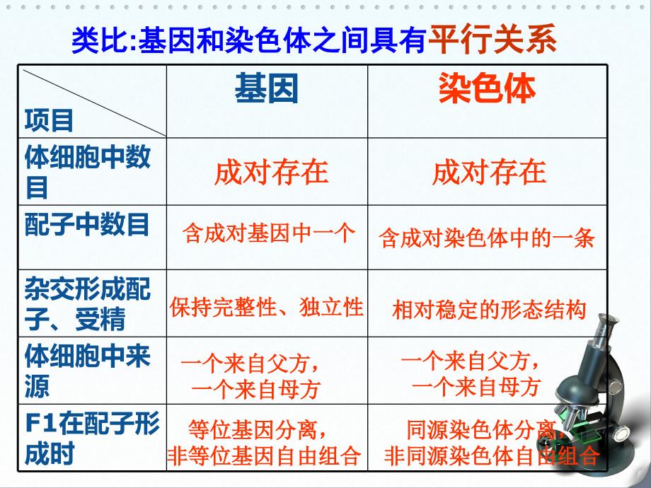 2.2 遗传的染色体学说_第3页