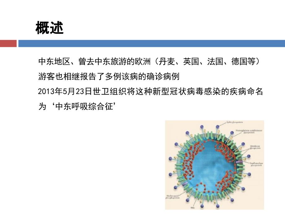 MERS诊疗方案解读(年版)_第3页