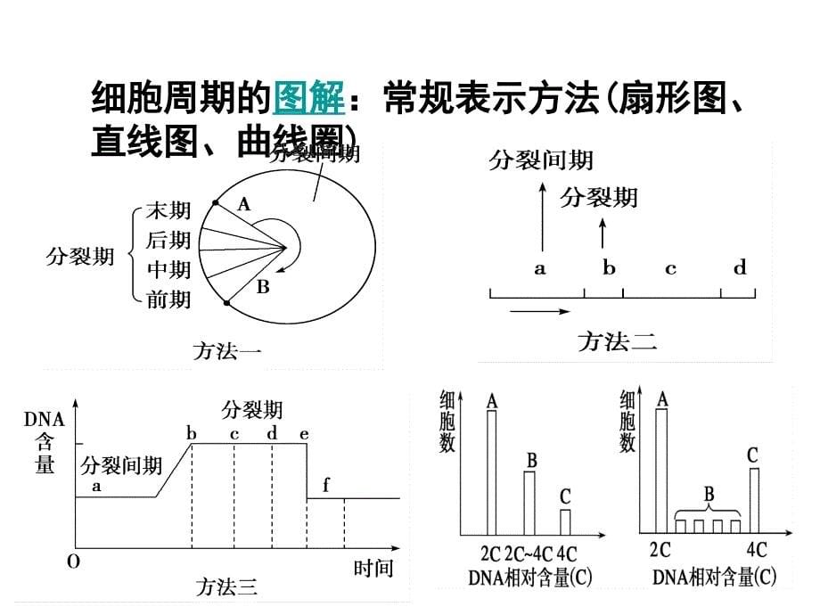 细胞的增值考情分析教学课件_第5页