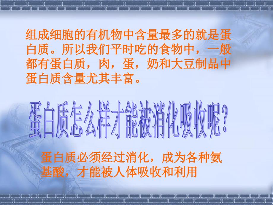 《生命活动的主要承担者-蛋白质》课件_第3页