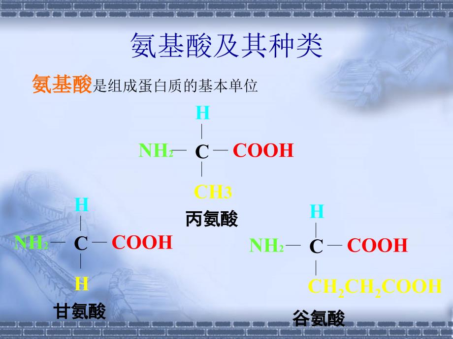 《生命活动的主要承担者-蛋白质》课件_第4页