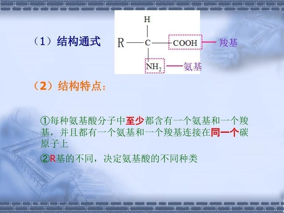 《生命活动的主要承担者-蛋白质》课件_第5页