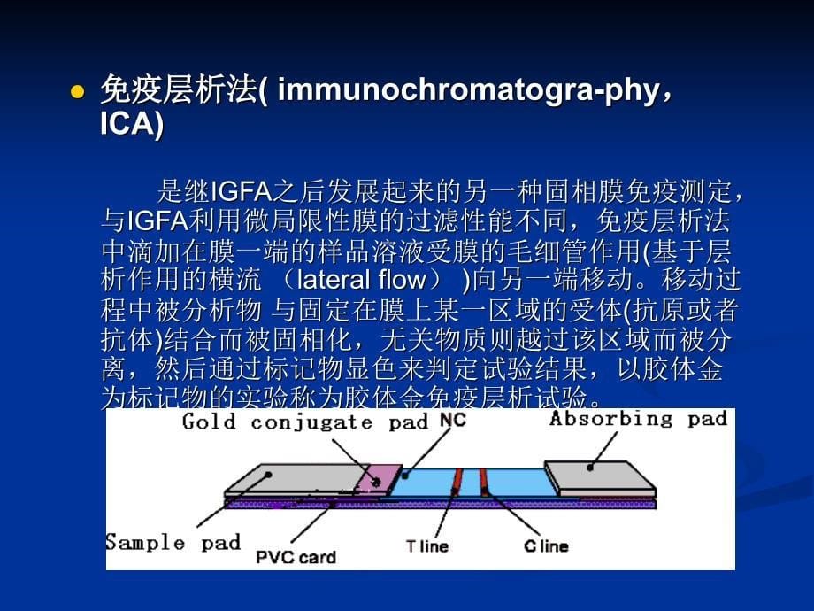 《免疫胶体金技术》PPT课件_第5页