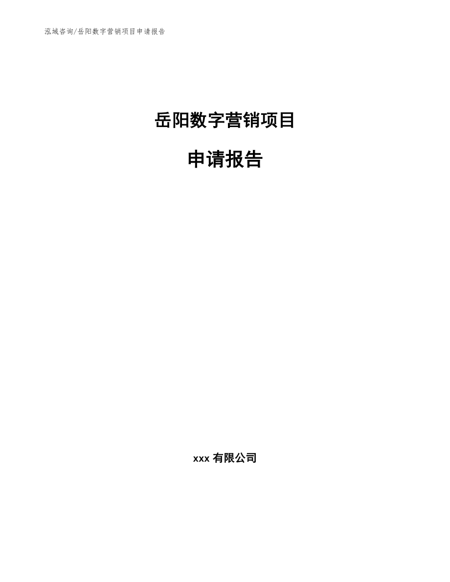 岳阳数字营销项目申请报告（模板范本）_第1页