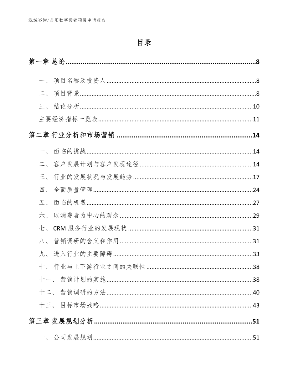 岳阳数字营销项目申请报告（模板范本）_第2页