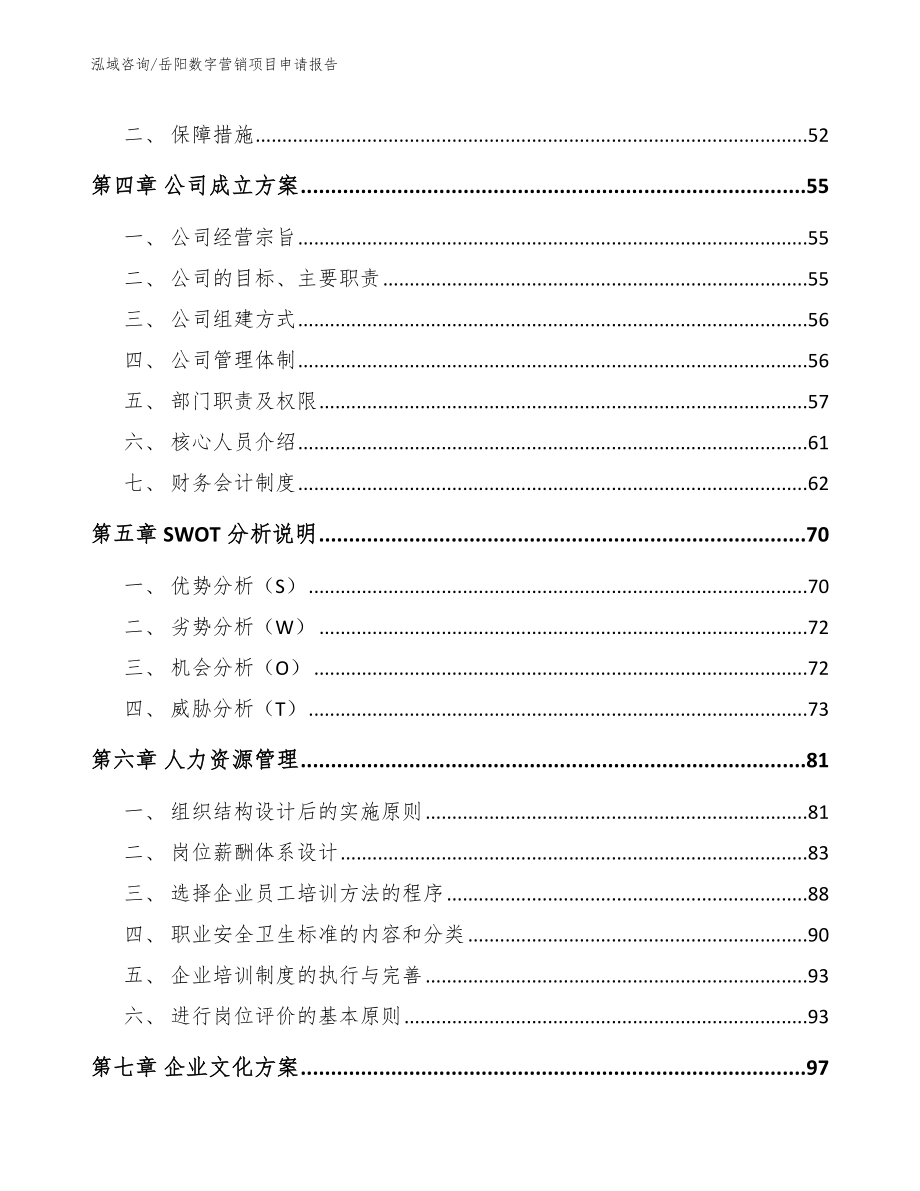 岳阳数字营销项目申请报告（模板范本）_第3页