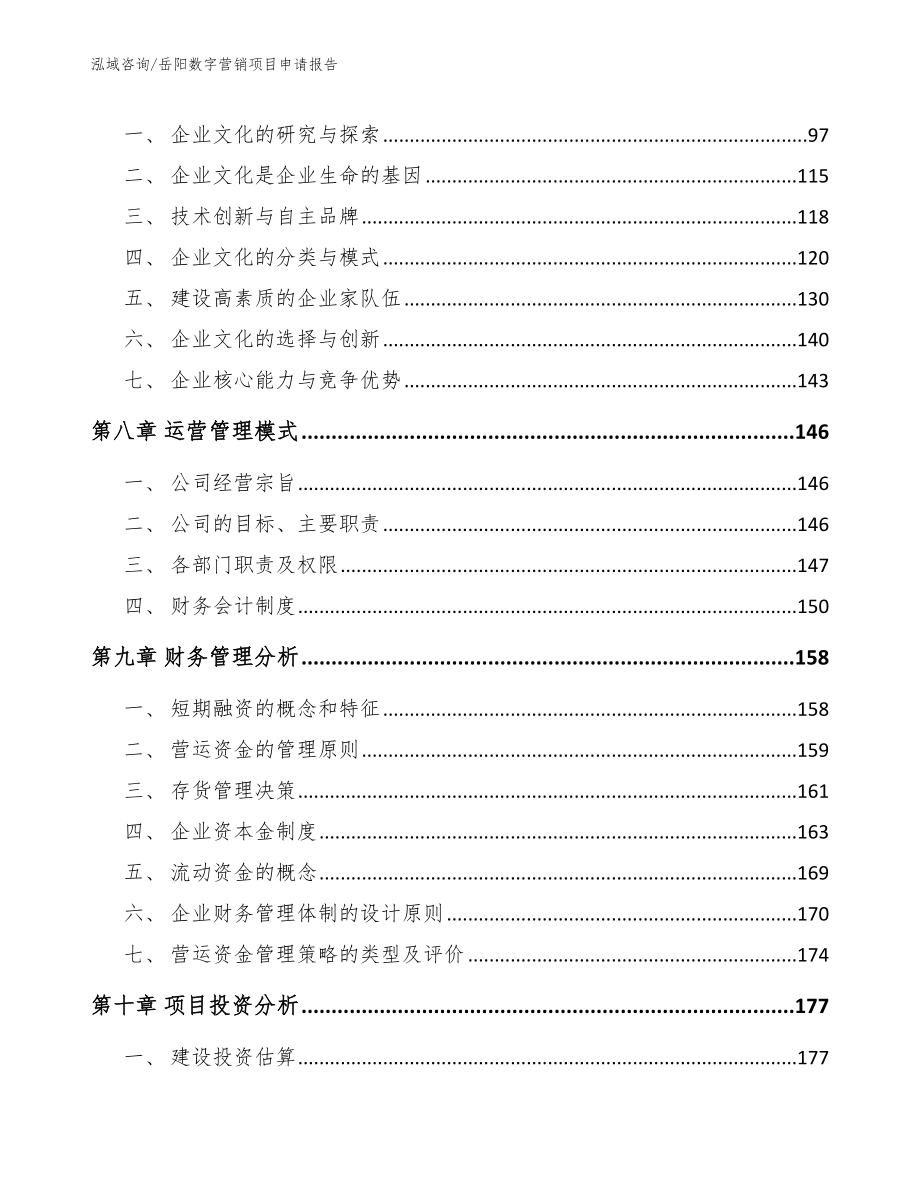 岳阳数字营销项目申请报告（模板范本）_第4页
