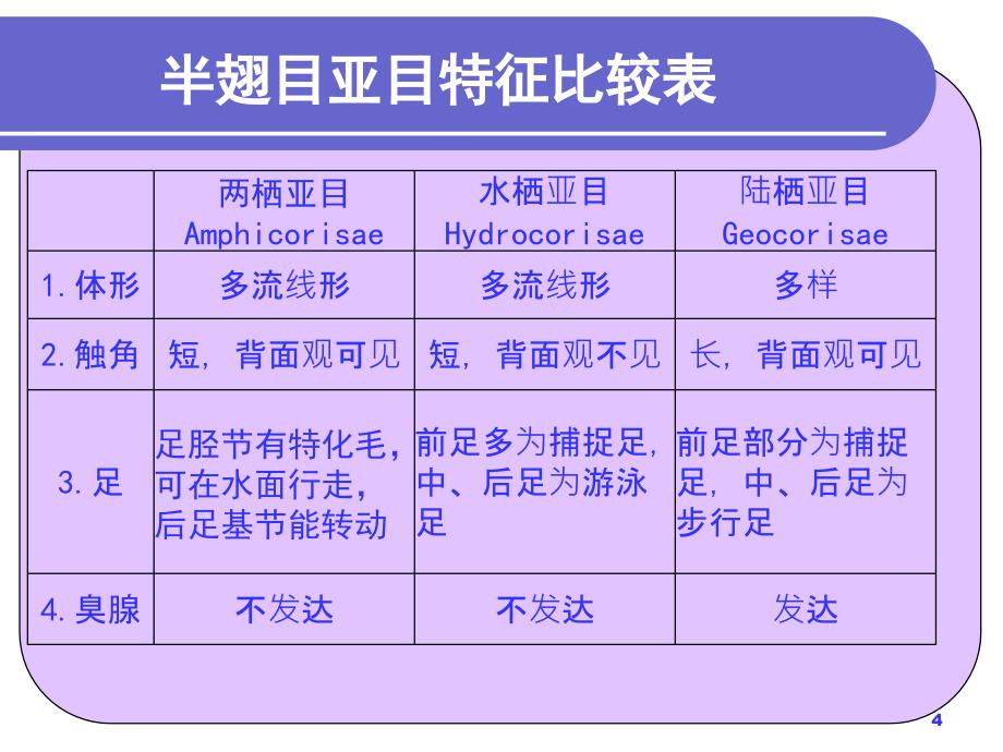 园林植物昆虫学课件第六章园林植物害虫分类半缨脉_第4页