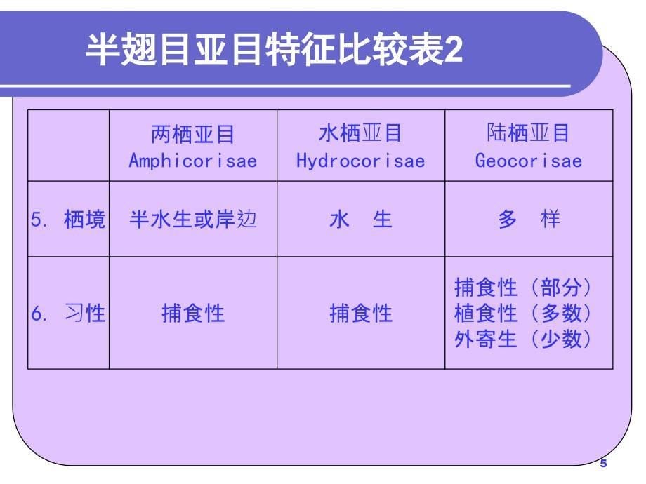 园林植物昆虫学课件第六章园林植物害虫分类半缨脉_第5页