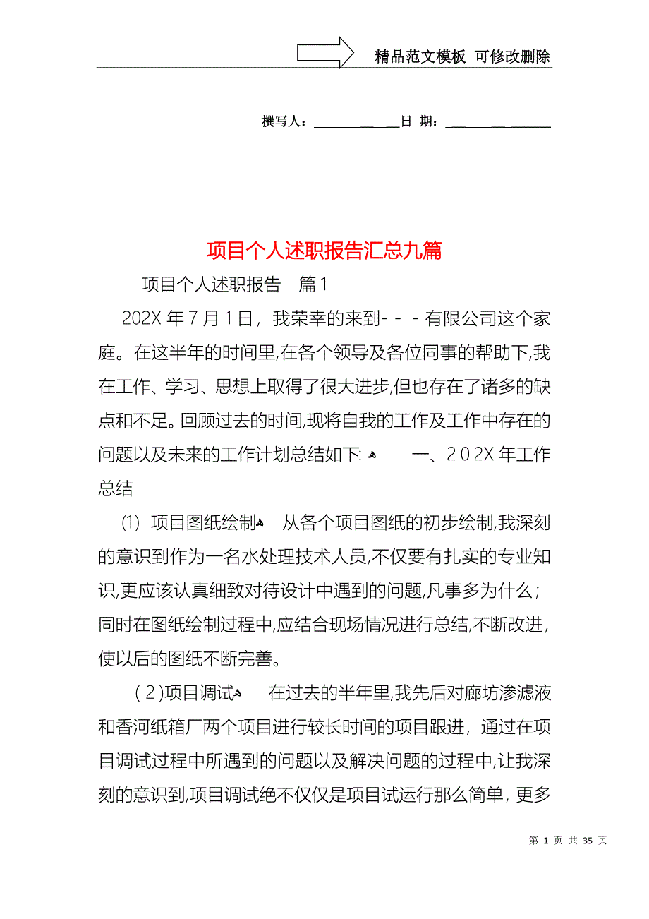 项目个人述职报告汇总九篇_第1页