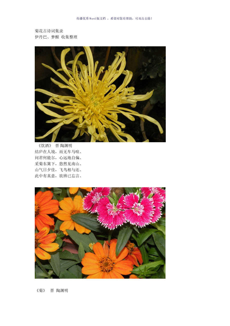 菊花古诗词集录Word版_第1页