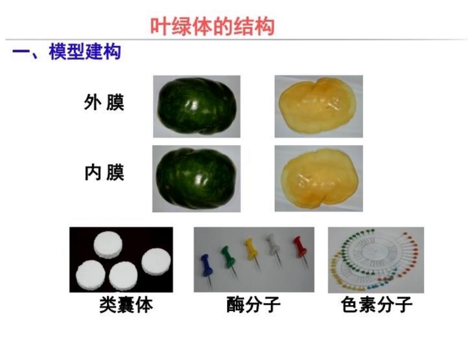 最新叶绿体的结构精品课件_第3页