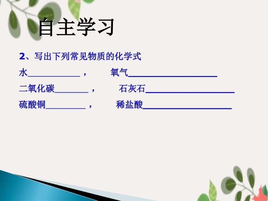 4.2物质组成的表示第一课时课件_第5页