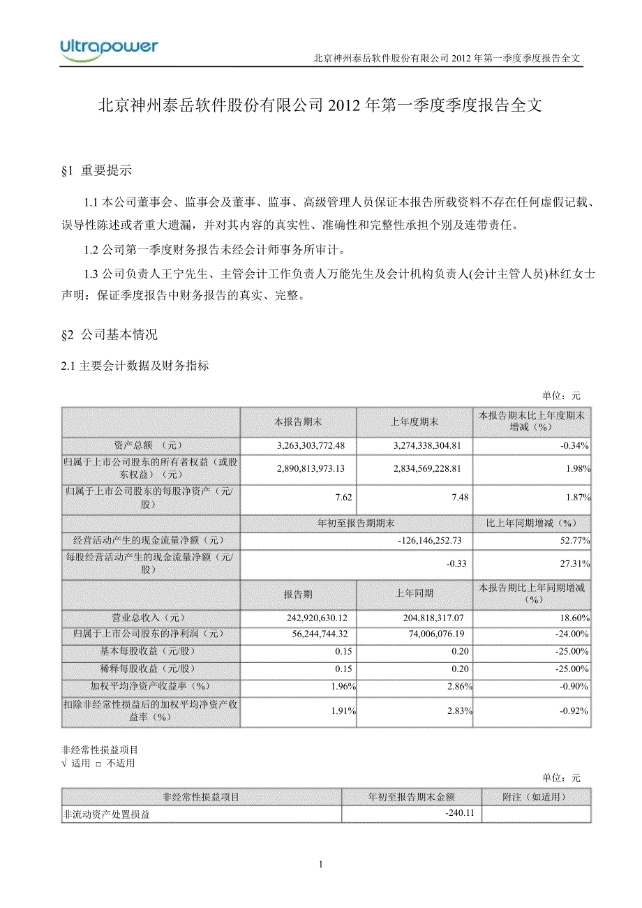 神州泰岳第一季度报告全文_第1页