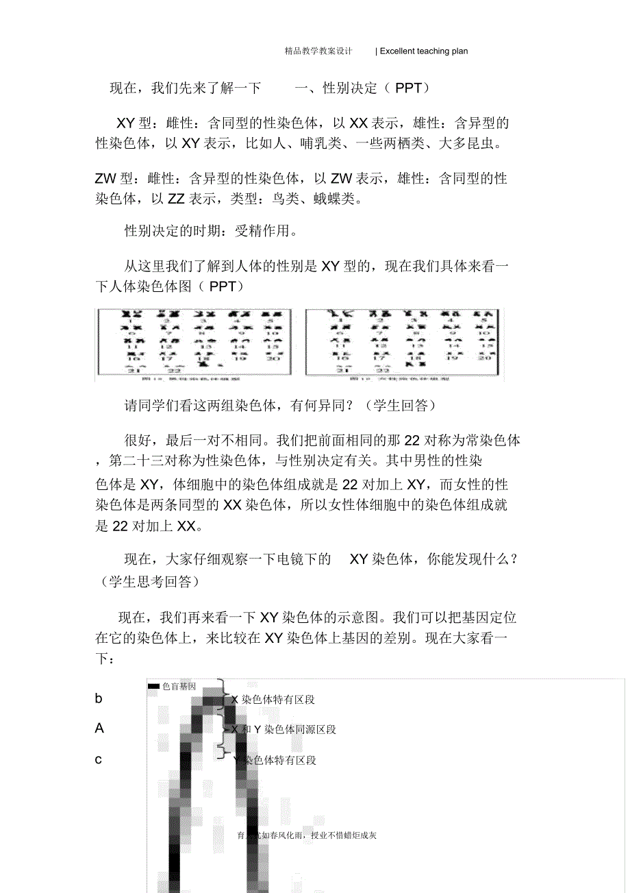 第二章第3节伴性遗传教学设计新部编版--余献_第4页