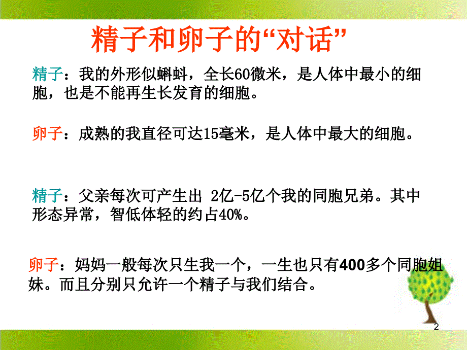 体内受精和早期胚胎发育公开课PPT优秀课件_第2页