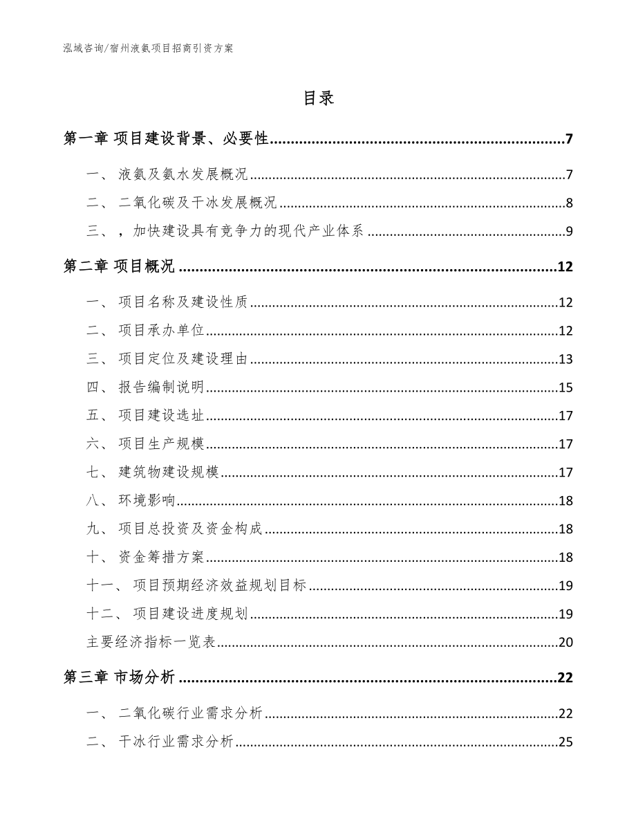 宿州液氨项目招商引资方案_范文_第1页