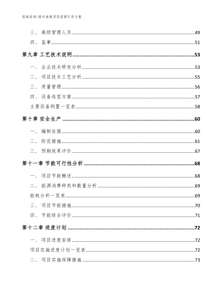 宿州液氨项目招商引资方案_范文_第3页