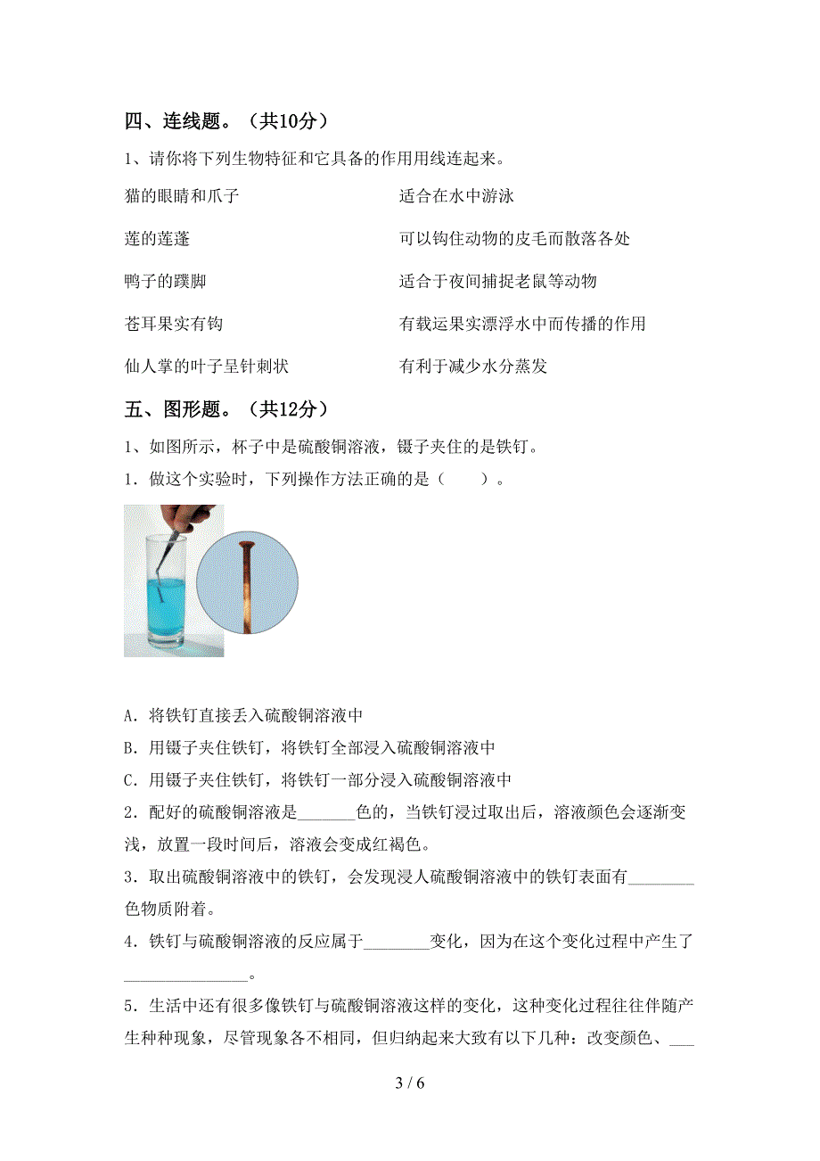 新人教版六年级科学上册期中考试(全面).doc_第3页