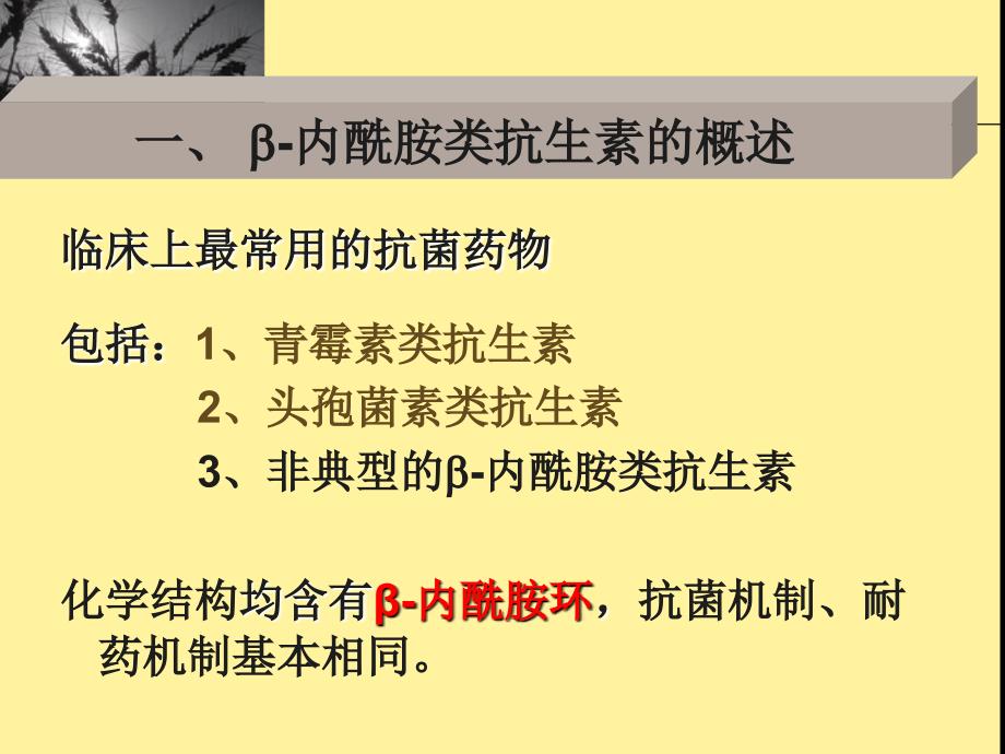 《内酰胺类抗生素》PPT课件_第2页