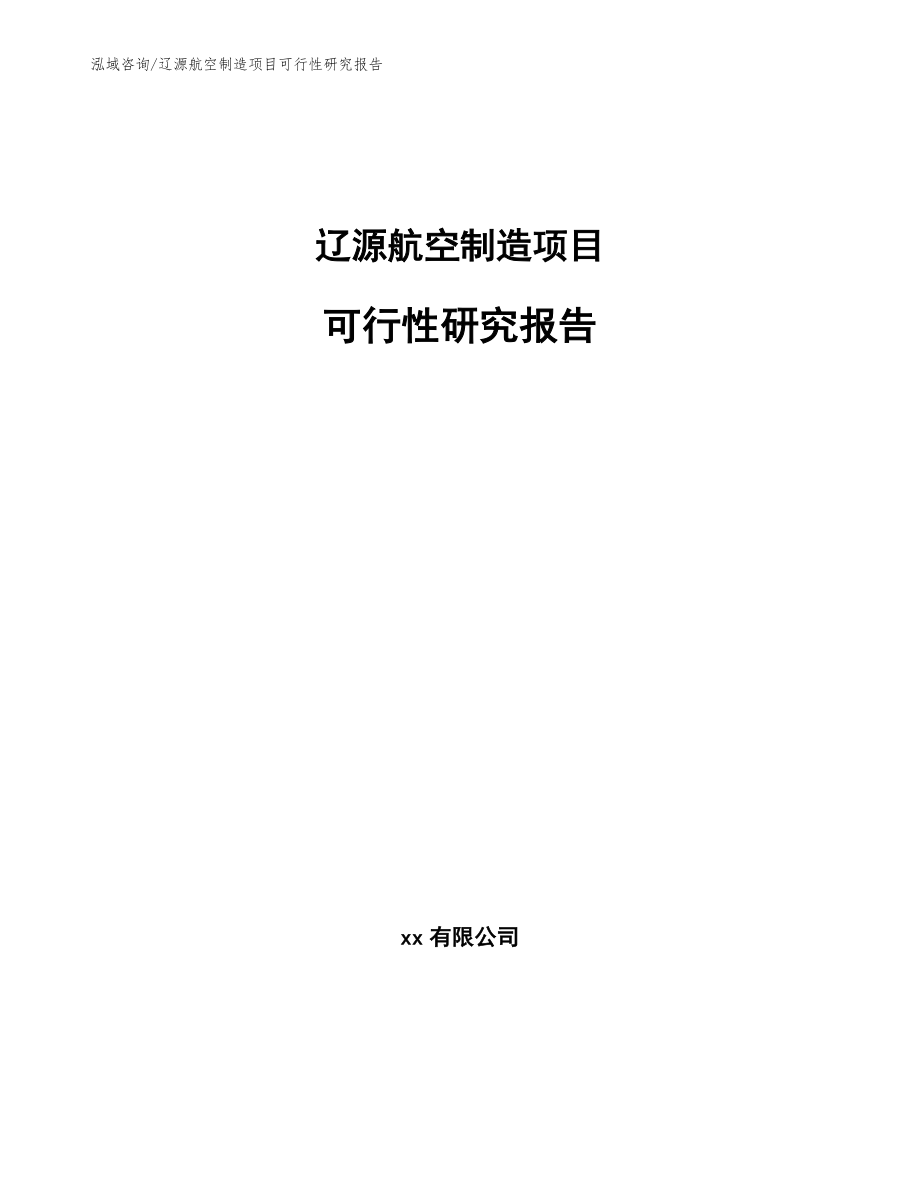 辽源航空制造项目可行性研究报告（模板）_第1页