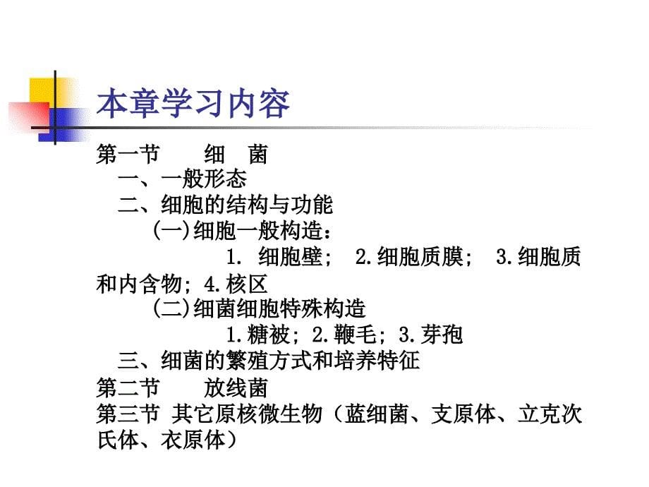 原核微生物形态构造及功能1刘课件_第5页