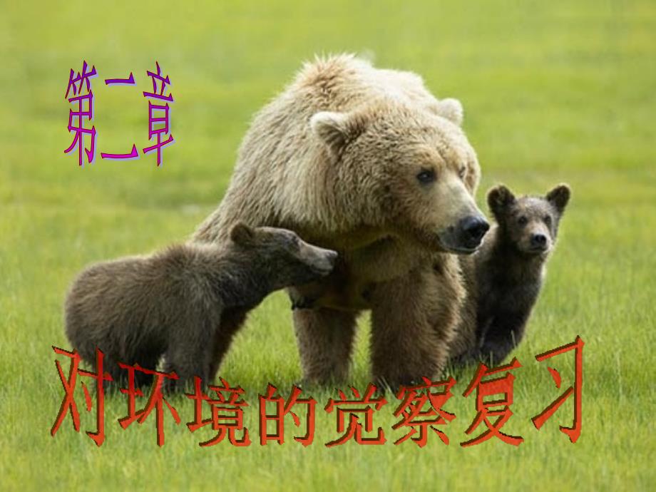 七年级科学下册 第2章《对环境的察觉》复习课件 浙教版_第1页