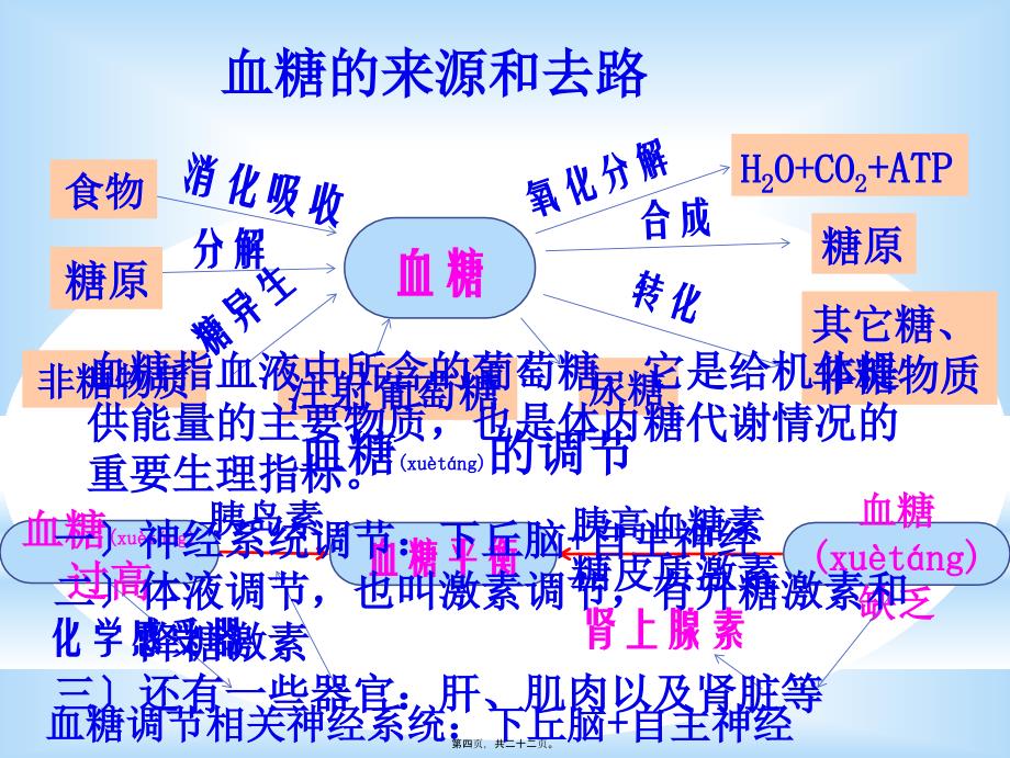 葡萄糖氧化酶法测定血糖浓度(版本2)20315_第4页