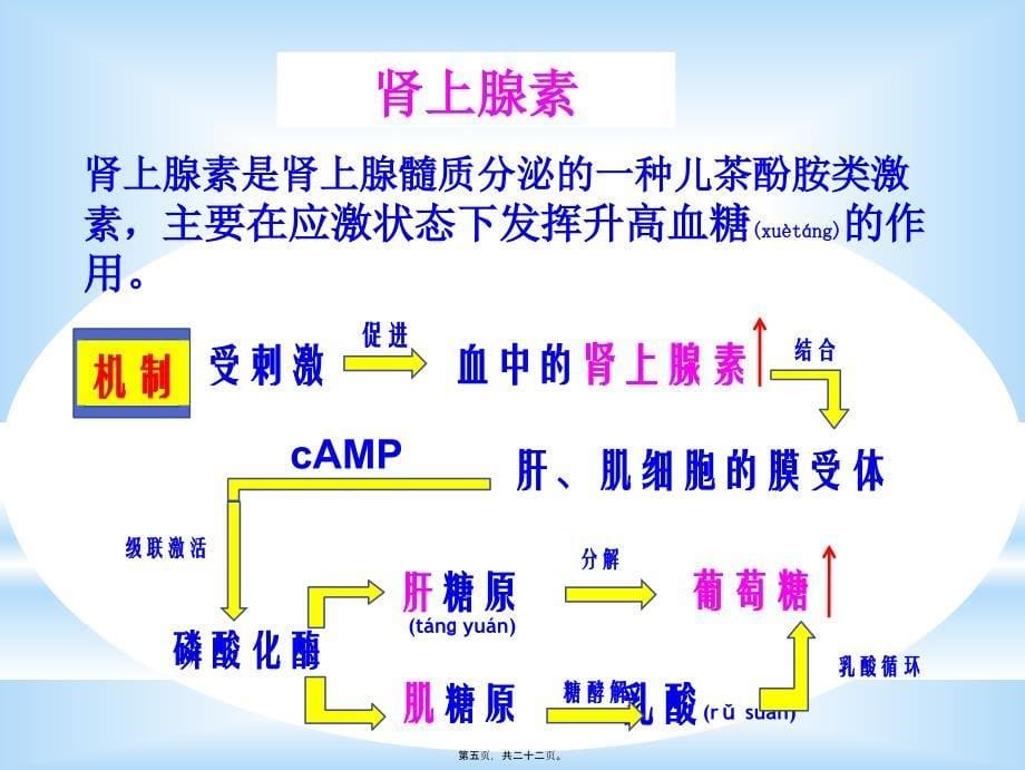 葡萄糖氧化酶法测定血糖浓度(版本2)20315_第5页