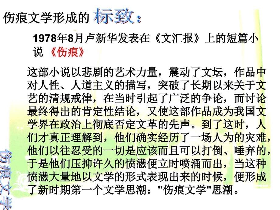 软件仓库新历史主义小说_第5页