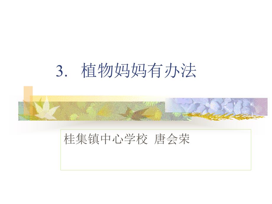 植物妈妈有办法课件.ppt_第1页