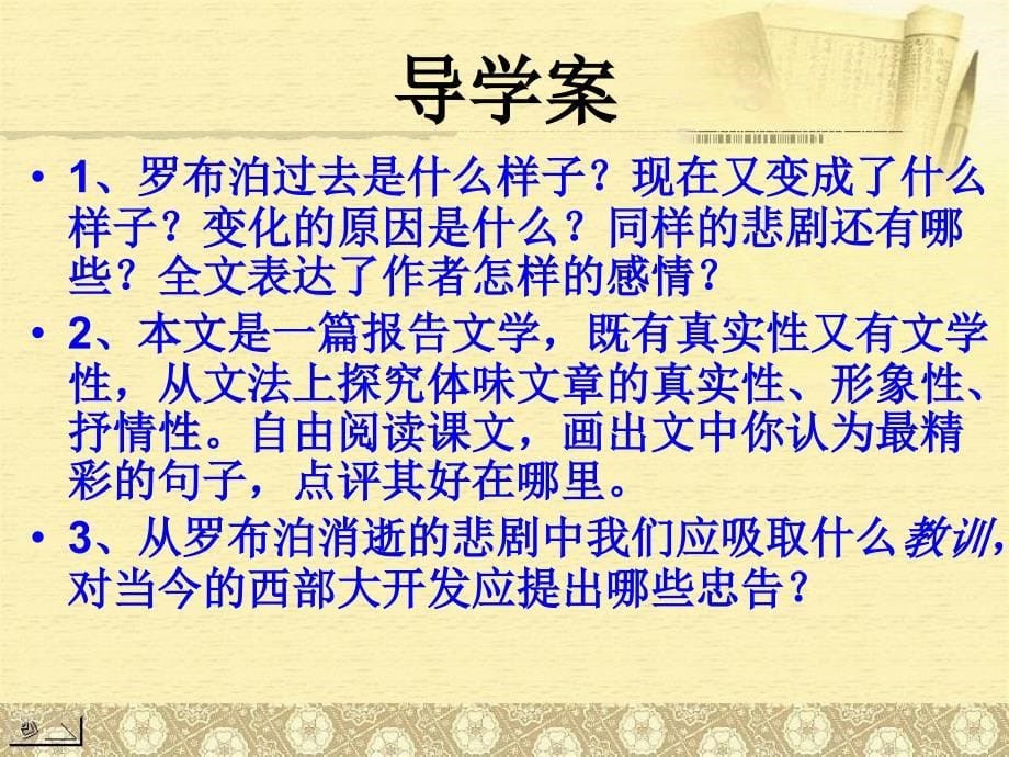 罗布泊消逝的仙湖_第5页