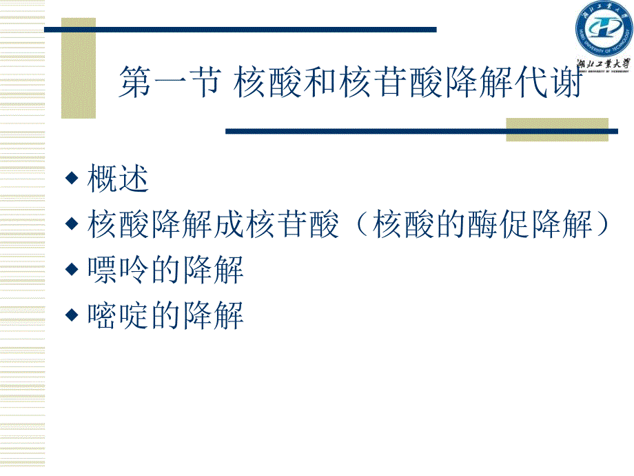 第十章核酸代谢_第2页