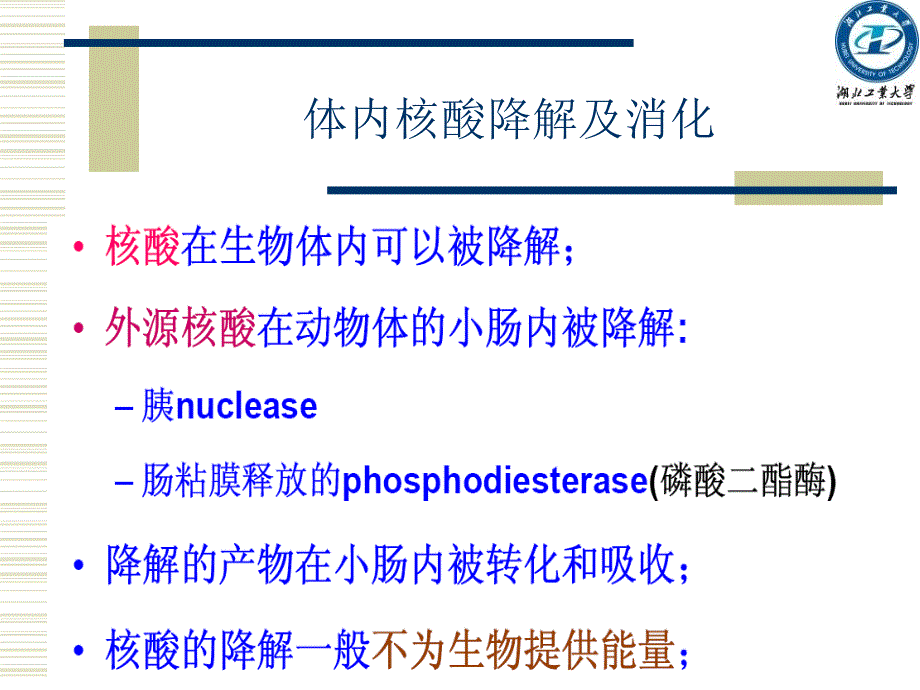 第十章核酸代谢_第4页