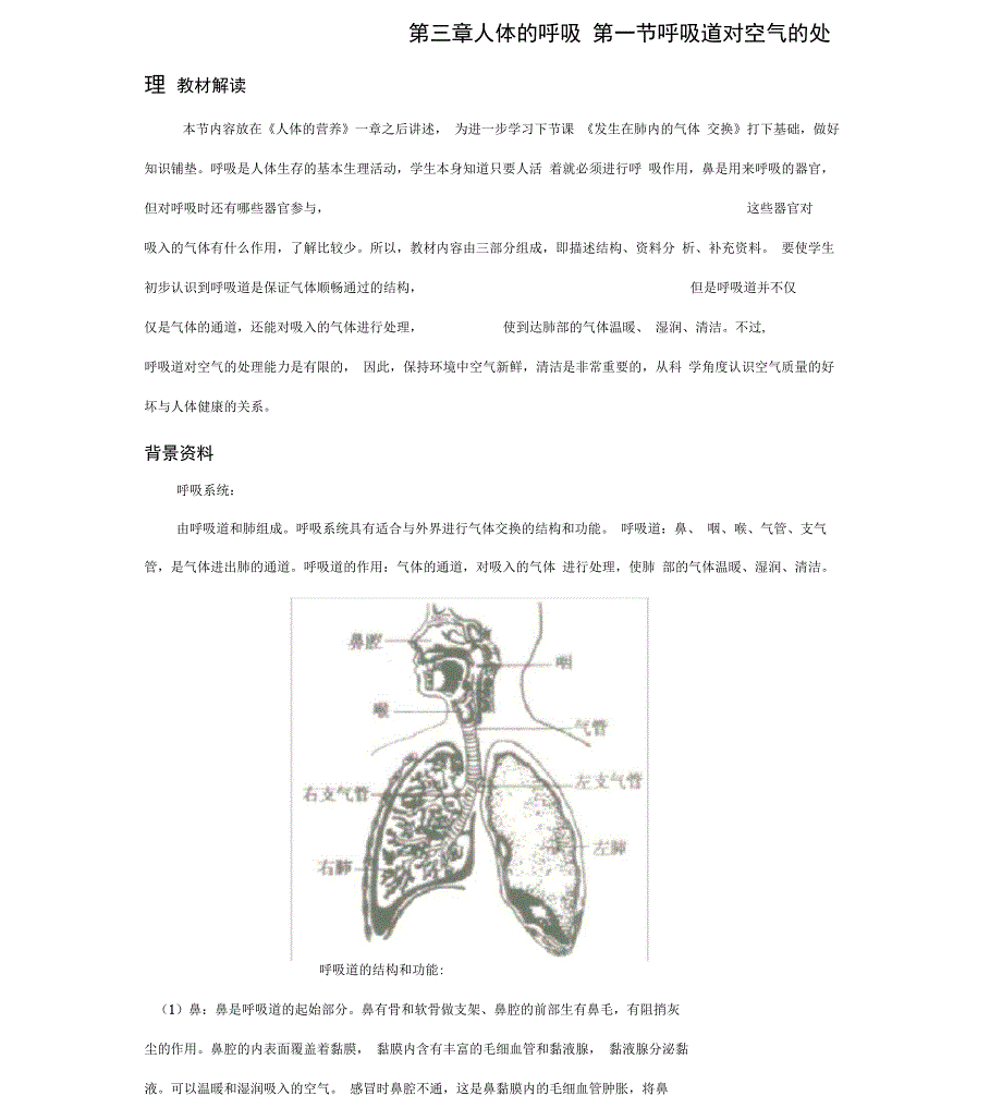 呼吸道对空气的处理_第1页