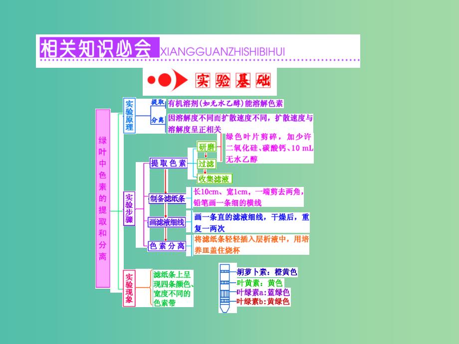 高考生物一轮复习 第三单元 第3讲 第1课时 绿叶中色素的提取和分离课件 新人教版必修1.ppt_第2页