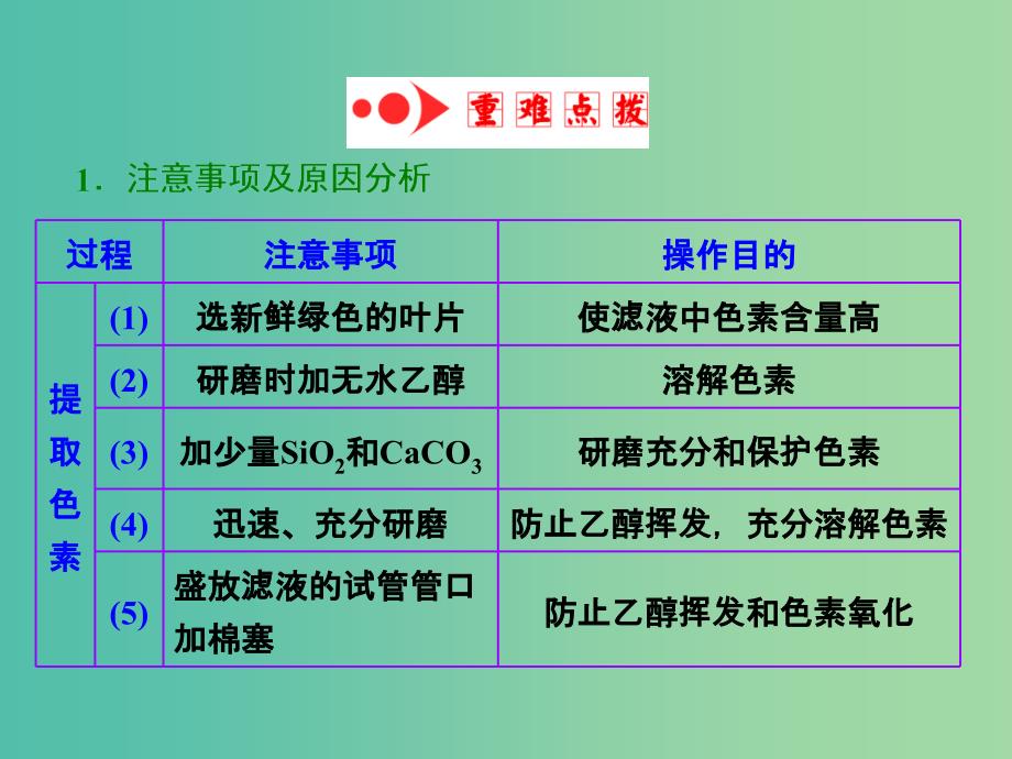 高考生物一轮复习 第三单元 第3讲 第1课时 绿叶中色素的提取和分离课件 新人教版必修1.ppt_第3页