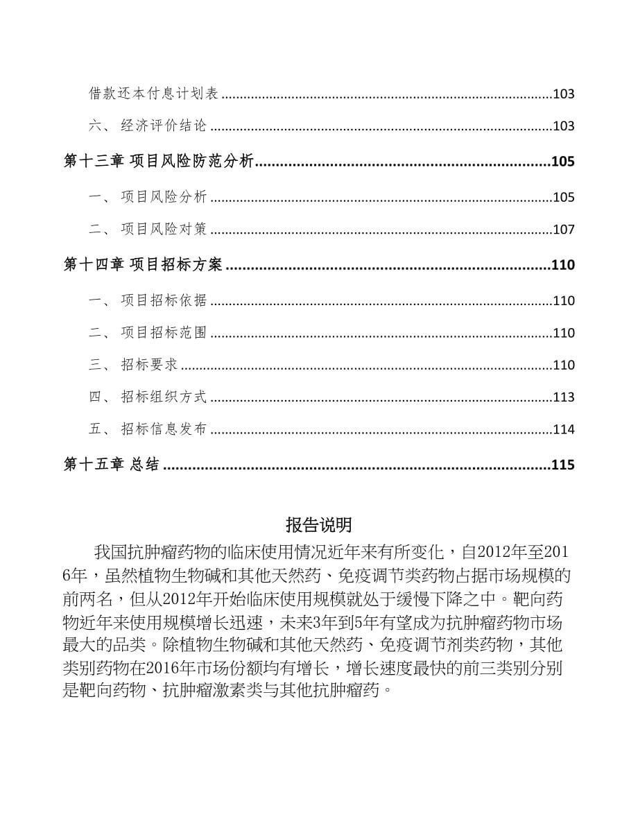 内蒙古新分子实体药物项目可行性研究报告(DOC 84页)_第5页