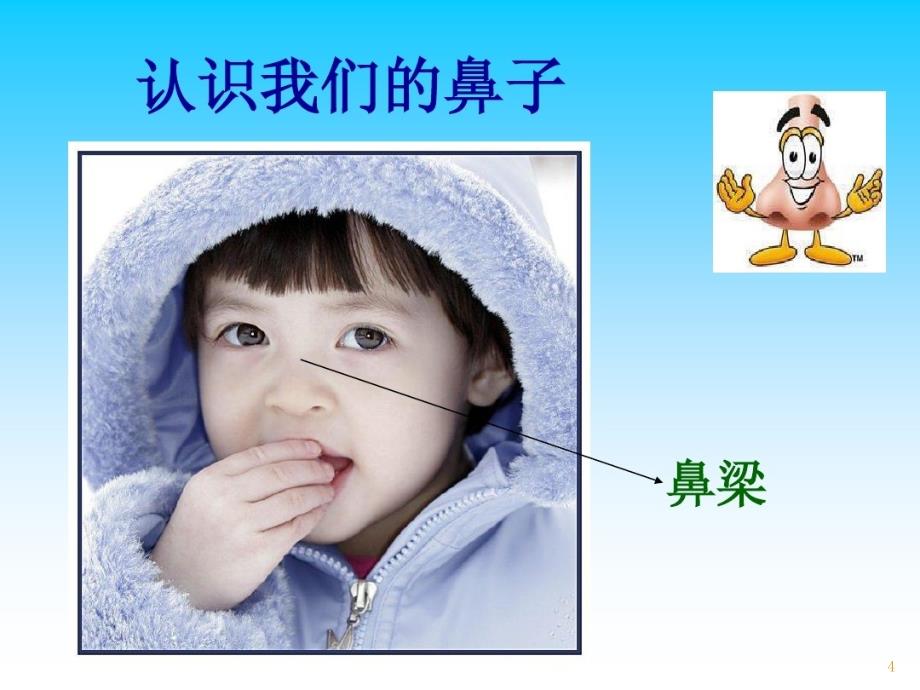 中班安全活动保护鼻子.ppt_第4页