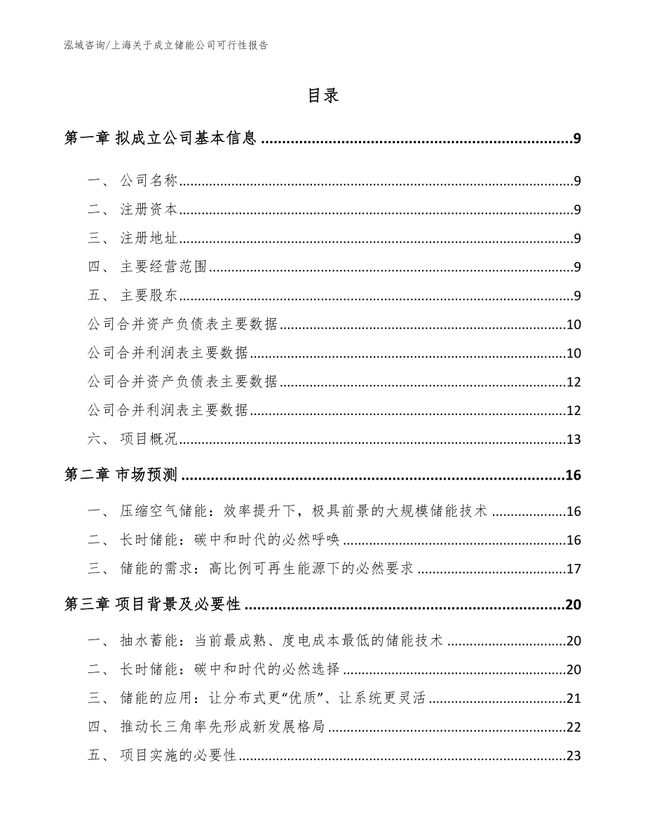 上海关于成立储能公司可行性报告模板范文_第2页