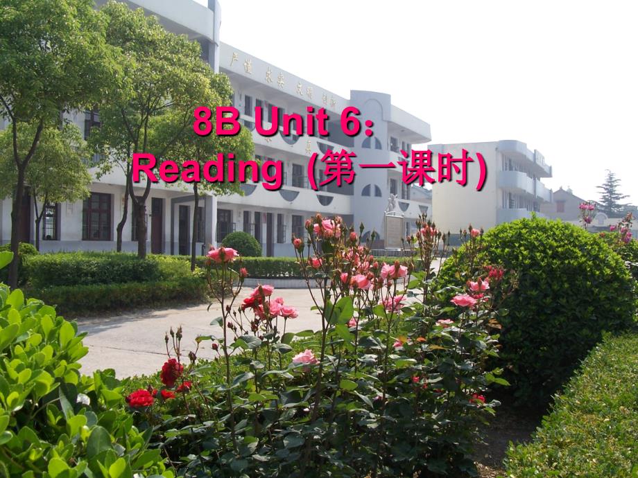 8BUnit6Reading_第1页