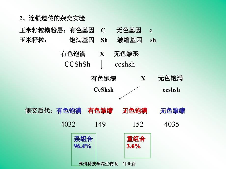 遗传第四章连锁遗传_第2页