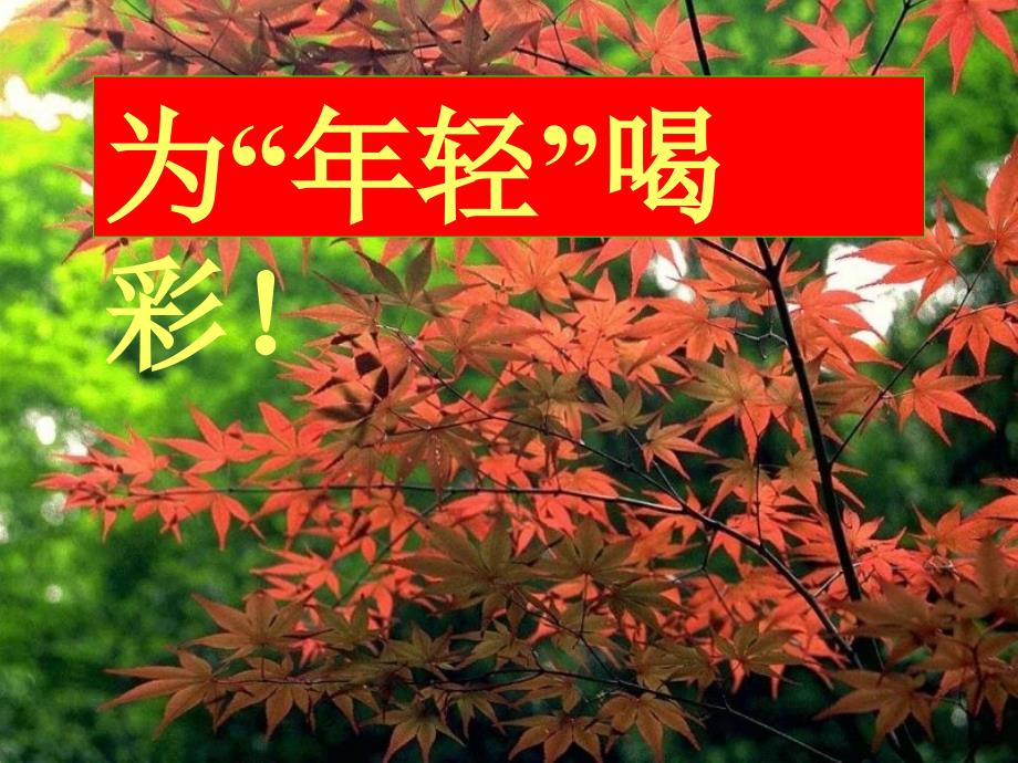 江苏省仪征市月塘中学八年级语文下册 第29课《在萧红墓前的五分钟讲演》课件 苏教版_第2页