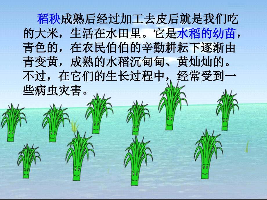 三年级语文上册第六单元18小稻秧脱险记课件苏教版苏教版小学三年级上册语文课件_第4页