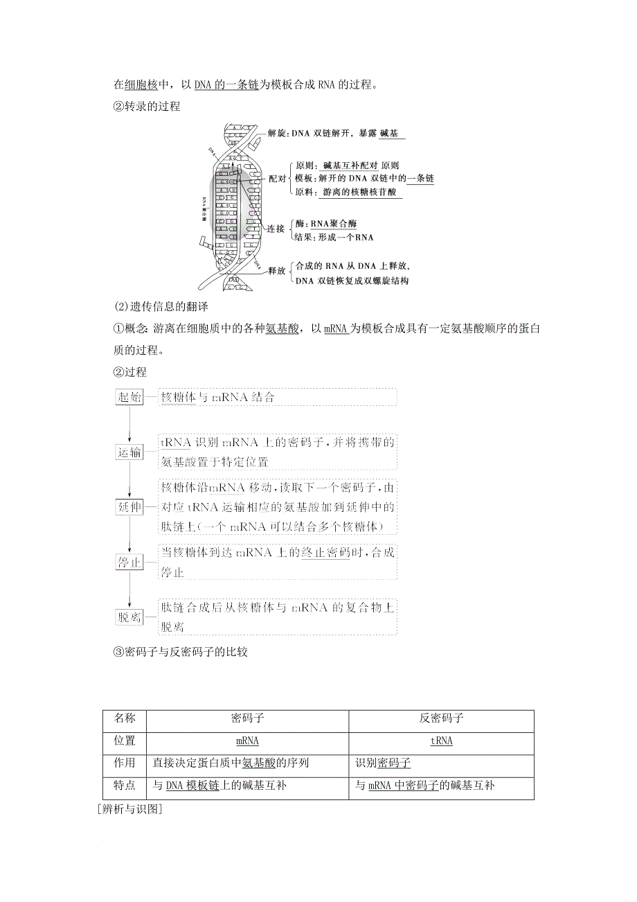 山东省高考生物 第6单元 遗传的分子基础3基因的表达导学案含解析新人教版必修2_第2页